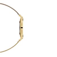 Montre Daniel Wellington Femme Petite in Acier DW00100348 - DW00100348